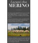 Men's T-shirt Merino Rise made of fine sheep merino wool
